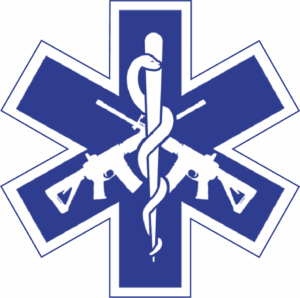 Blue Tier Training Solutions Logo